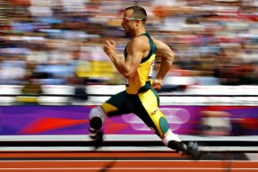 开云体育官方-_大自然跑步：森林、河谷、山脉的奔跑体验_，森林 跑步