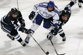 青少年“智勇冠军”篮球训练营在深圳举行，锻炼体能与智慧，智博篮球训练营