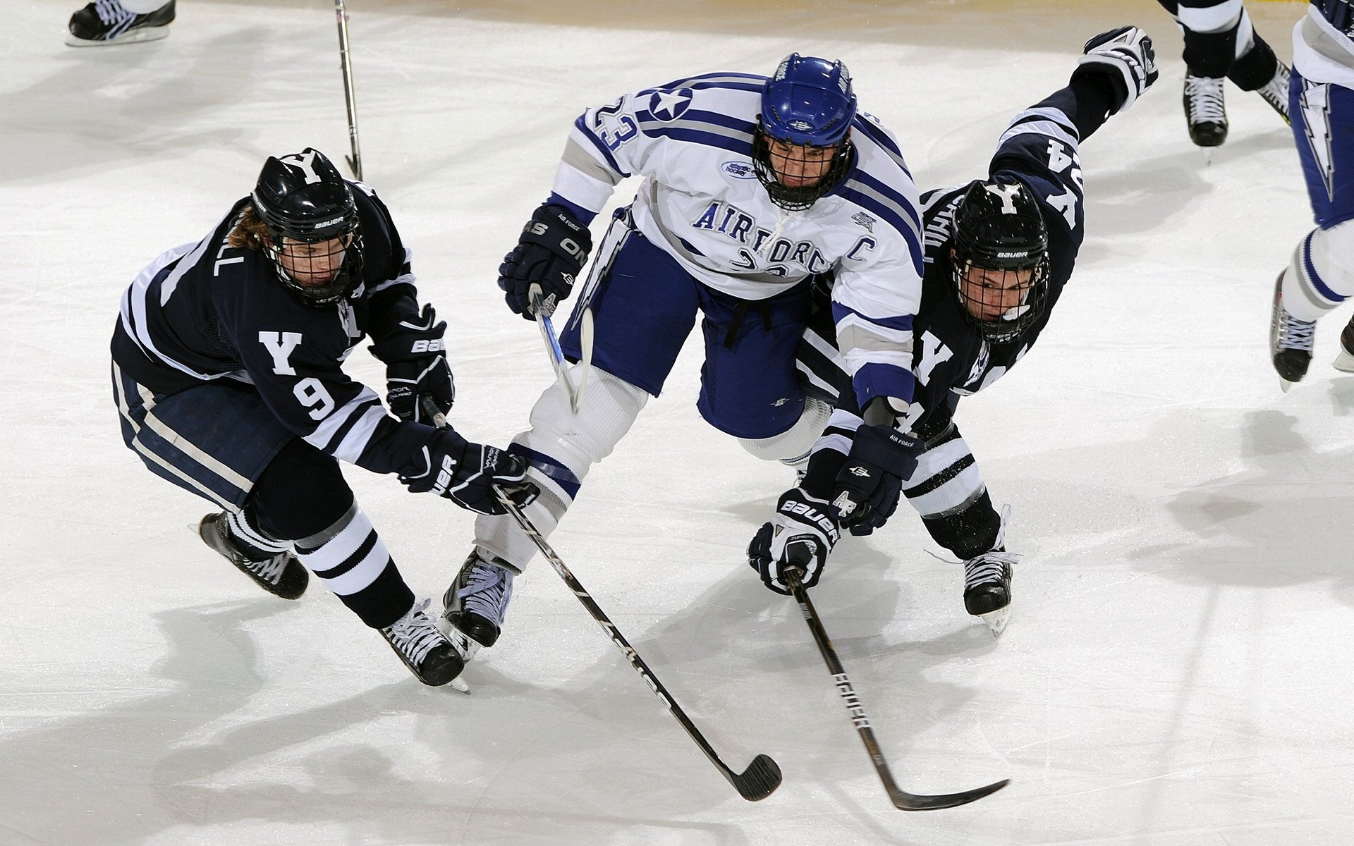 _瑞典博览会草地公开赛：冰雪之国的网球激情_，瑞典比赛